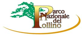 logo_federazione_italiana_rafting_federrafting